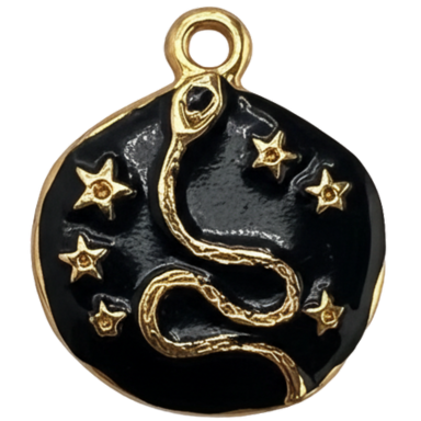 Black Snake Madallion Charm