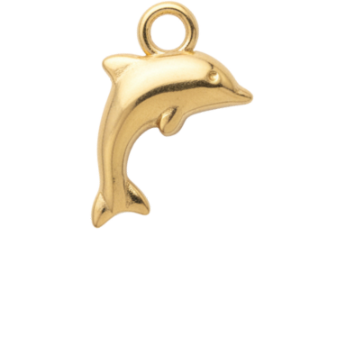 Dolphin Charm