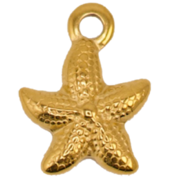 Golden Starfish Charm
