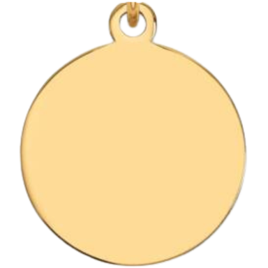 Large Disc Charm Gold