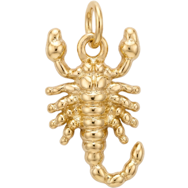 Gold scorpion charm pendant brass animal motif photographed in natural lifestyle light