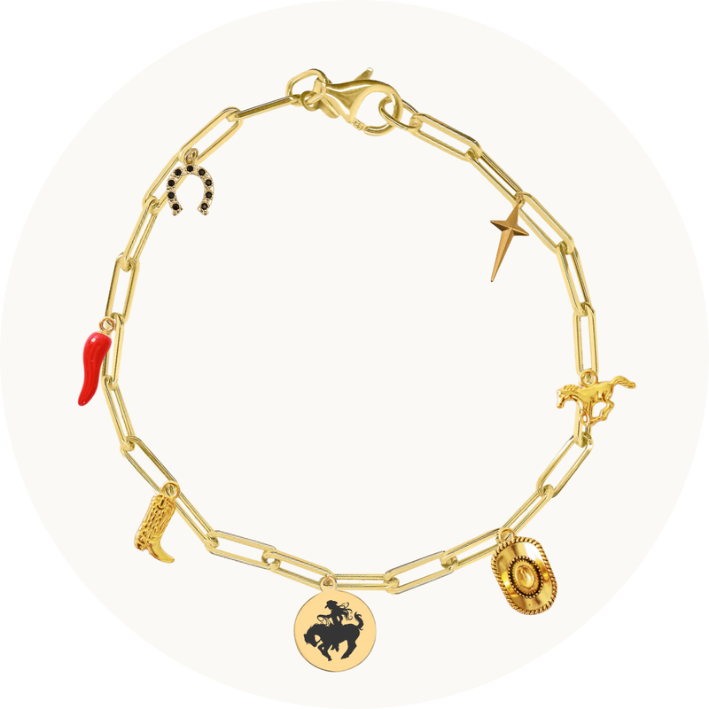 Bestseller Charm Bracelets