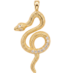 Coiled Snake Charm