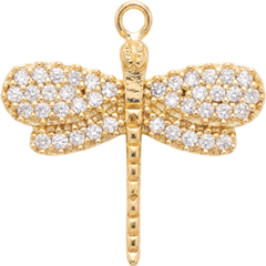 Dragonfly Charm