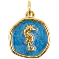Blue Seahorse Coin Charm