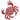Coral CharmLab Crab