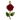 Fresh Rose Charm