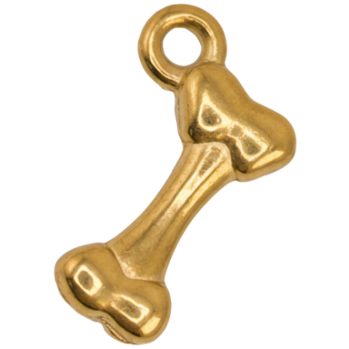 Golden Bone Charm Pendant