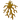 Golden Coral Charm