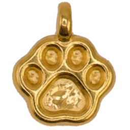 Golden Paw Print Charm Pendant