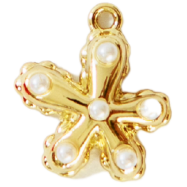 Ocean Star Charm