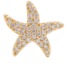 Shiny Starfish Charm