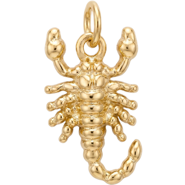 Gold scorpion charm pendant brass animal motif photographed in natural lifestyle light