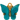 The Dreamer Butterfly